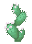 Prickly Pear Plant big.png