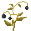 Ashberry Plant big.png